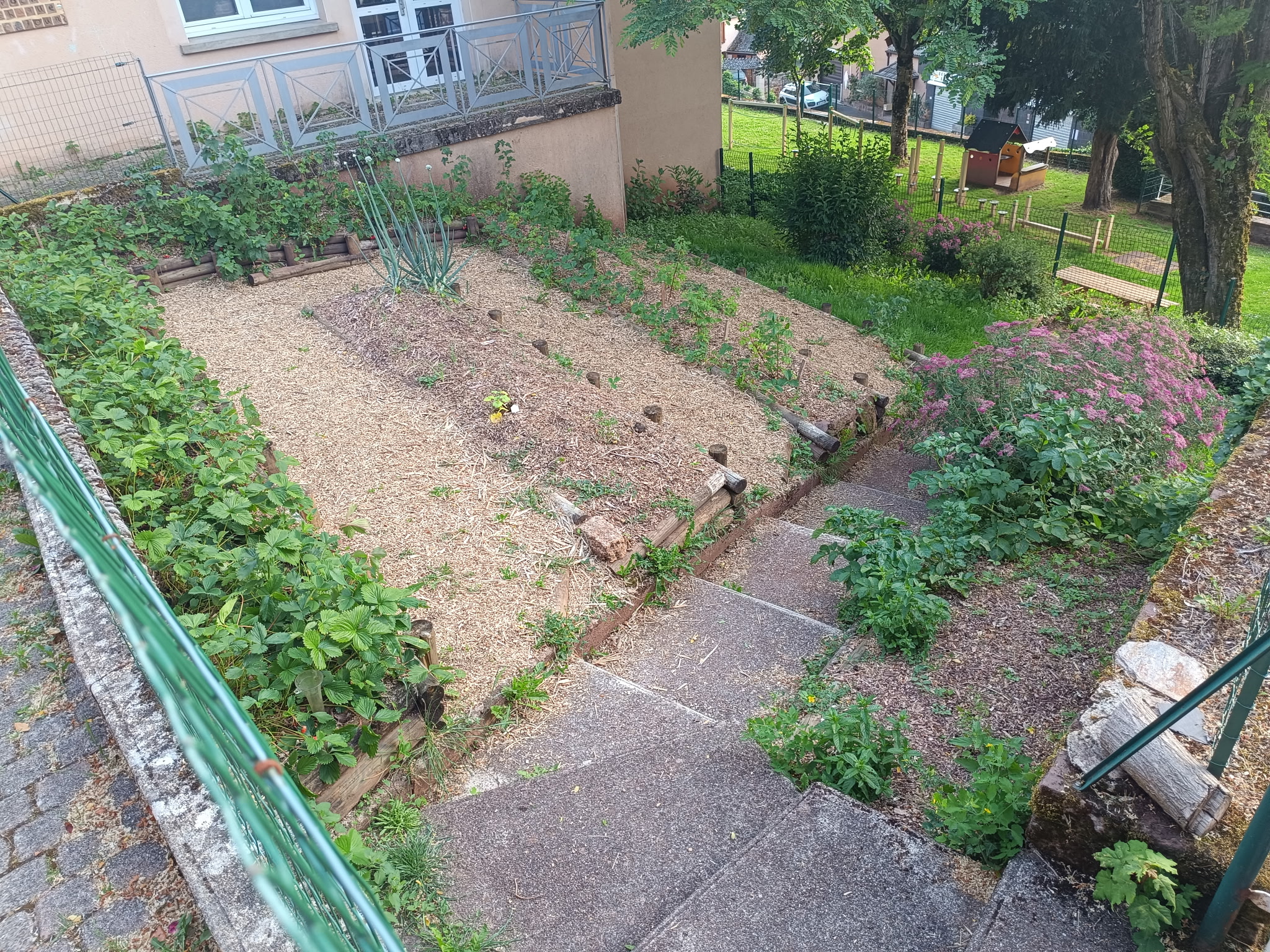 Lire la suite à propos de l’article Les élèves cultivent leur jardin à l&rsquo;école de St laurent d&rsquo;Olt